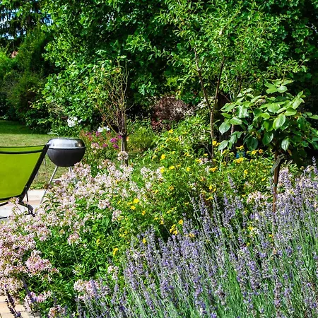 Guest house Le Clos De Gally Chavenay